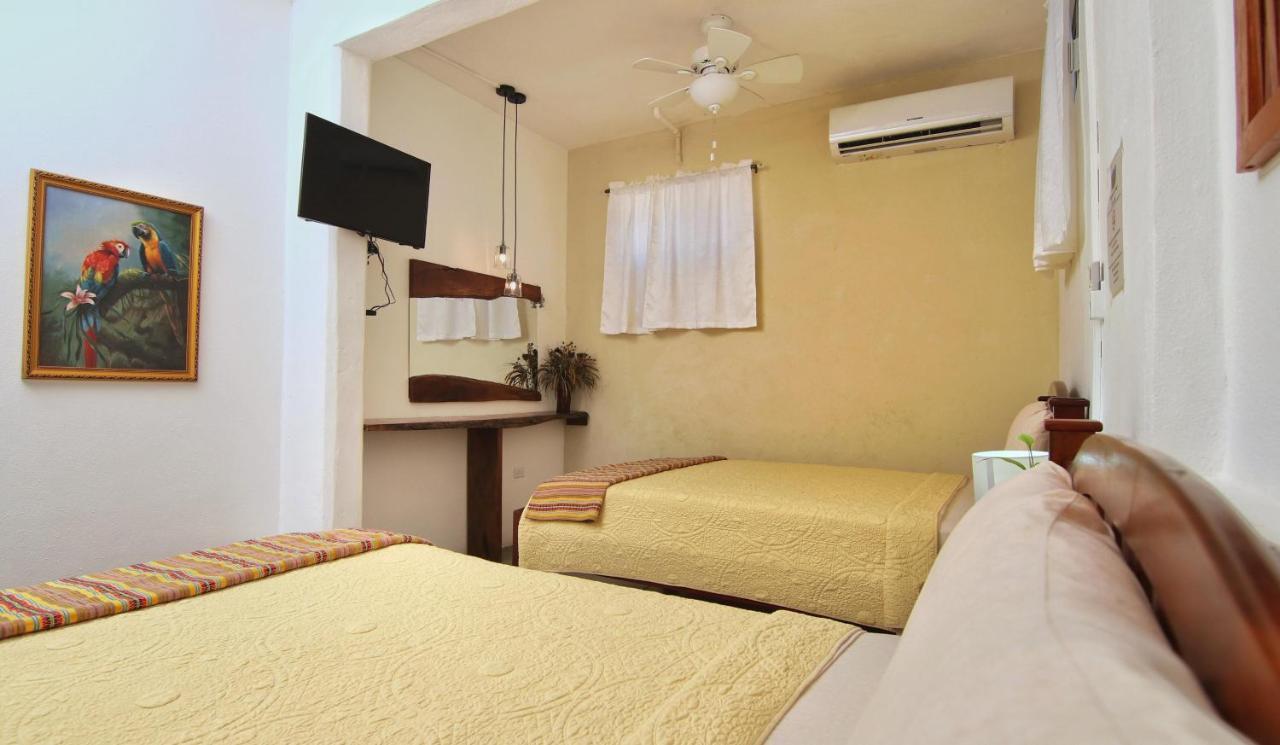 Rainforest Haven Inn San Ignacio Extérieur photo
