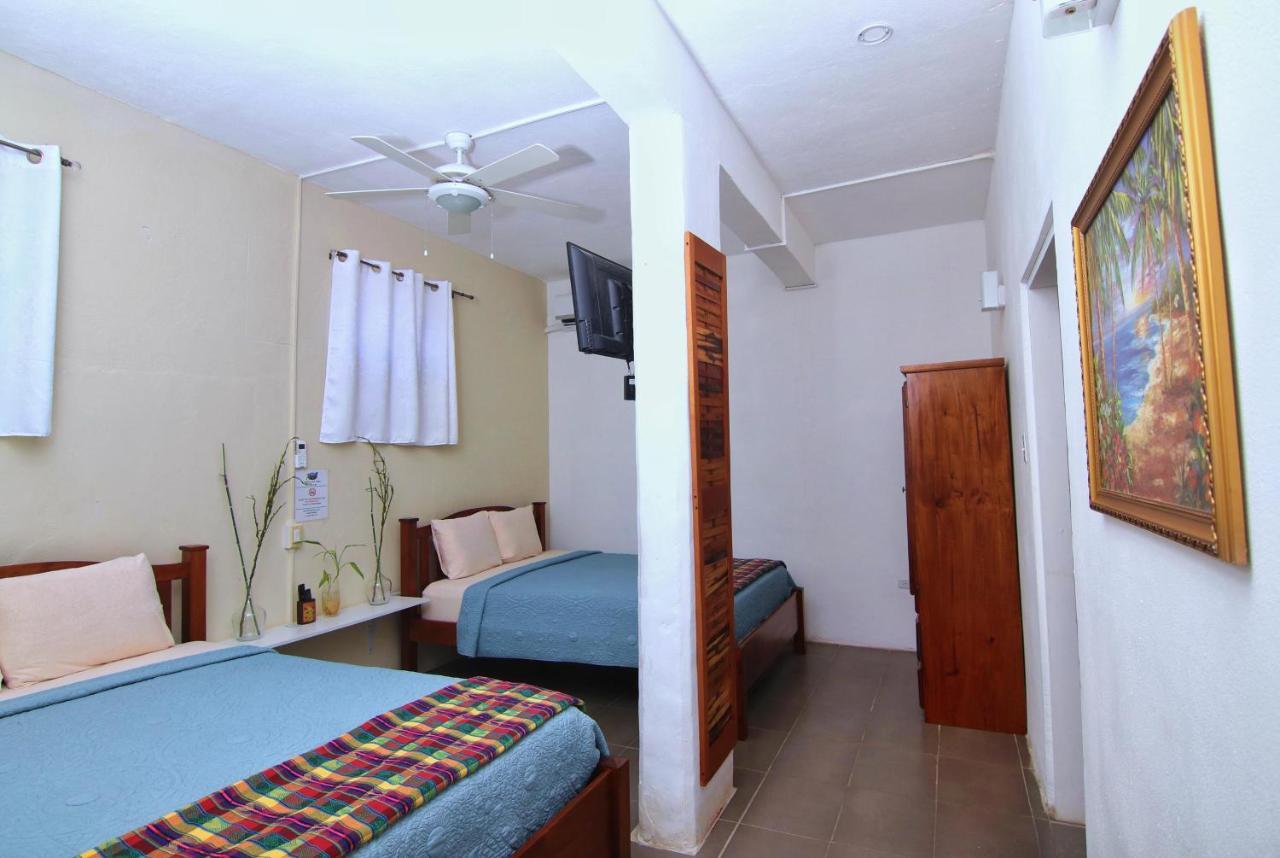 Rainforest Haven Inn San Ignacio Extérieur photo